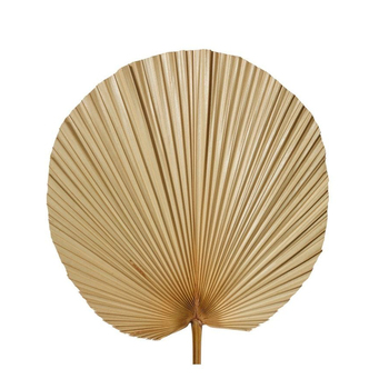 /assets/alt_2/GS.072.NT_2PK.jpg?20231219153409