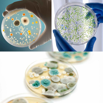 /assets/alt_2/HJ-4205.jpg?20240718134833