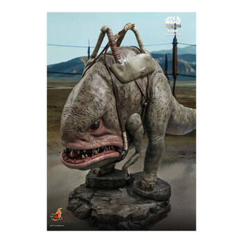 /assets/alt_2/HOTTMS045.jpg?20250515163214