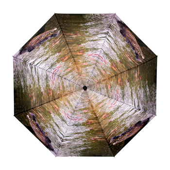 /assets/alt_2/J1-LFP831-CROC.jpg?20241113121911