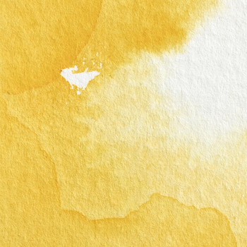 /assets/alt_2/JA-0118257_2PK.jpg?20240826130121