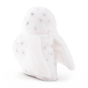 /assets/alt_2/KC-AN779.jpg?20250514134708