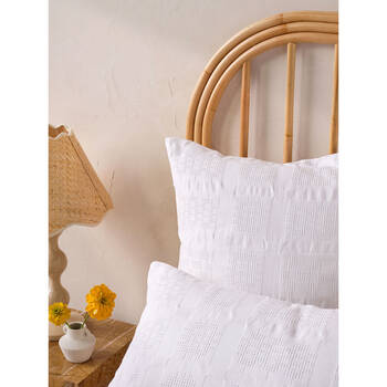 /assets/alt_2/LH-01763L754.jpg?20250304150201