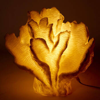 /assets/alt_2/LT.036.WH.jpg?20250415133120