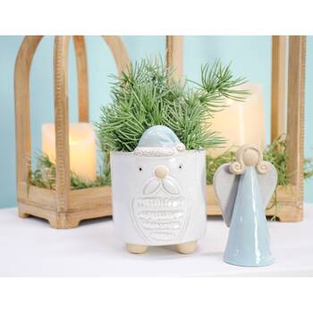 /assets/alt_2/LU5351-4_4PK.jpg?20260209111712