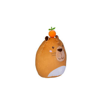 /assets/alt_2/MDI-LT-MP-CP.jpg?20250807135416