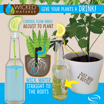 /assets/alt_2/MH-W-WATER-01_6PK.jpg?20240517085152