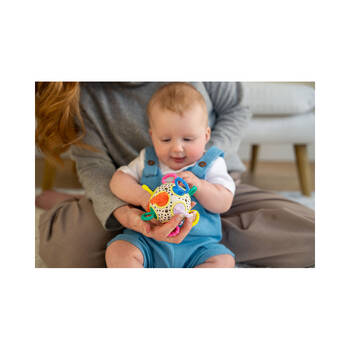 /assets/alt_2/MH165210.jpg?20241224121822