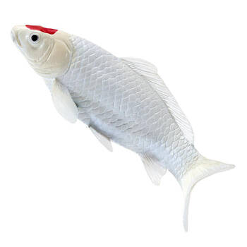 /assets/alt_2/MOJ381101_2PK.jpg?20250321163121