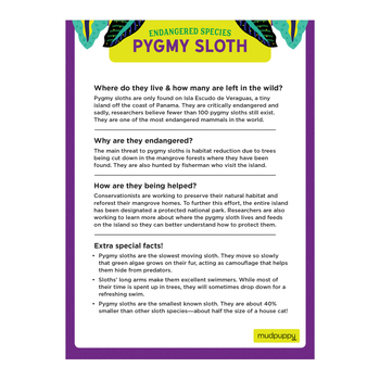 /assets/alt_2/MP-G0735367135.jpg?20240916123127