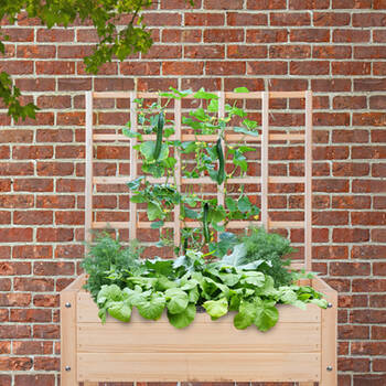 /assets/alt_2/NG108.jpg?20250716102336