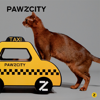 /assets/alt_2/PAWZ-CSB-T.jpg?20231228170206