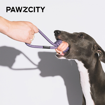 /assets/alt_2/PAWZ-IRBWL-T_2PK.jpg?20231228170444