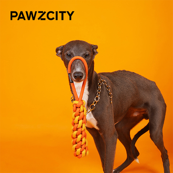/assets/alt_2/PAWZ-IRSWL-BE_2PK.jpg?20231228170828
