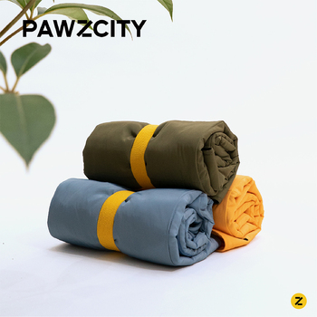 /assets/alt_2/PAWZ-WPTM-A.jpg?20231228170725