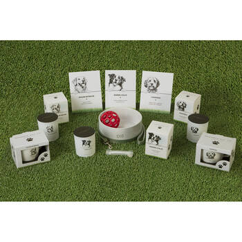 /assets/alt_2/PET-CAN02.jpg?20250919170303