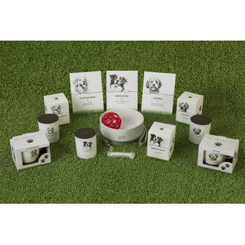 /assets/alt_2/PET-MUG05_4PK.jpg?20250919161712