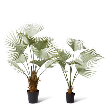 /assets/alt_2/PPP.016.GYGN.jpg?20250416111158