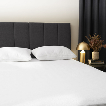 /assets/alt_2/PRO-MORRDBMATTWH.jpg?20230721093851