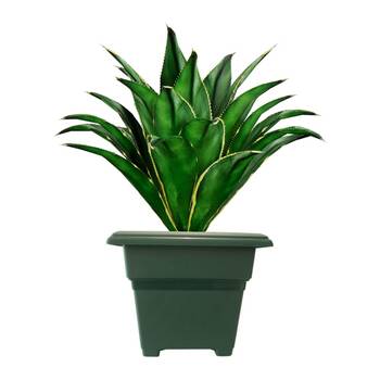 /assets/alt_2/PSPT180.33_10PK.jpg?20260324140152