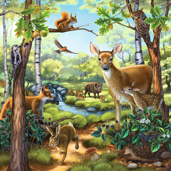 /assets/alt_2/RB09265-9.jpg?20240710193334