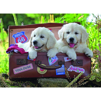 /assets/alt_2/RB10538-0.jpg?20240710193528