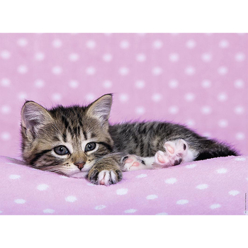 /assets/alt_2/RB12824-2.jpg?20240716095152