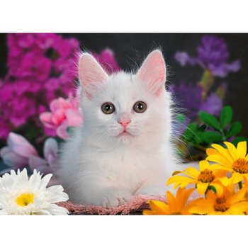 /assets/alt_2/RB13358-1.jpg?20240710194135