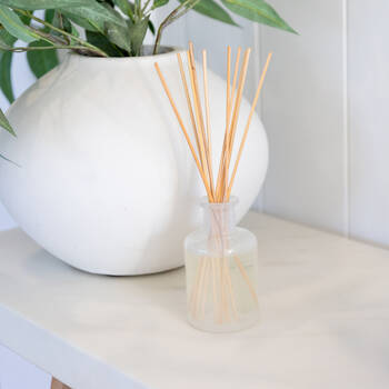 /assets/alt_2/SC-AQRDMORBL.jpg?20250423163100