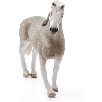 /assets/alt_2/SC13859.jpg?20240722111531