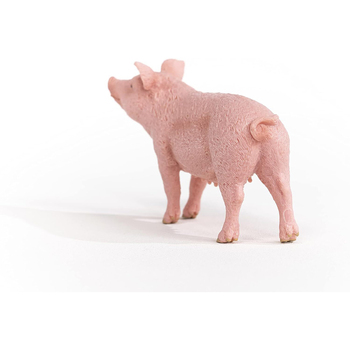 /assets/alt_2/SC13933.jpg?20240722111534