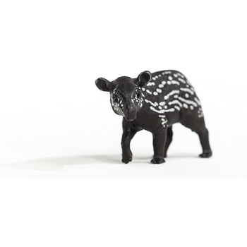 /assets/alt_2/SC14851.jpg?20240722111513