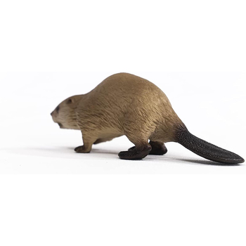 /assets/alt_2/SC14855.jpg?20240722111718