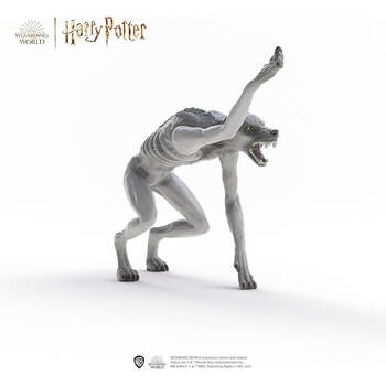 /assets/alt_2/SC14906.jpg?20250722130147