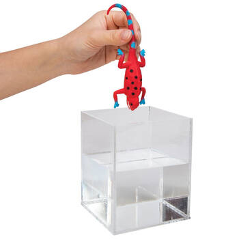 /assets/alt_2/SCH-CCRA_6PK.jpg?20250515112704