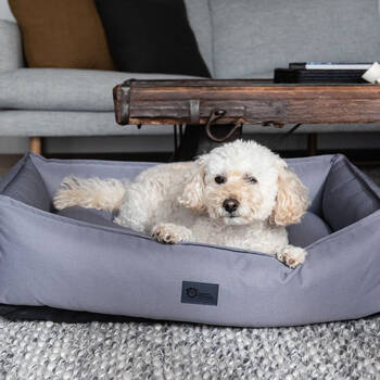 /assets/alt_2/SPGDLR5.jpg?20251125131205