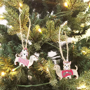 /assets/alt_2/UC504718_3PK.jpg?20250916111828