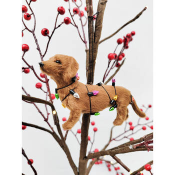 /assets/alt_2/UC551153_2PK.jpg?20250916111701