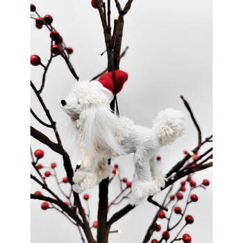 /assets/alt_2/UC551154_2PK.jpg?20250916111608