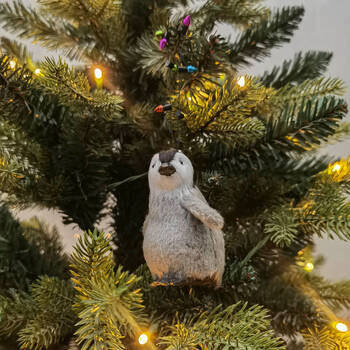 /assets/alt_2/UC551158_4PK.jpg?20250917160306