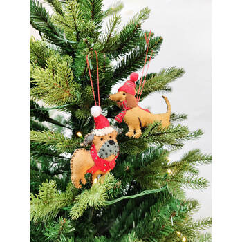 /assets/alt_2/UC568083_6PK.jpg?20250916111839