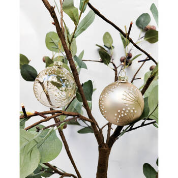 /assets/alt_2/UC574017_6PK.jpg?20250916111708