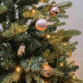 /assets/alt_2/UC574029_4PK.jpg?20250917160103