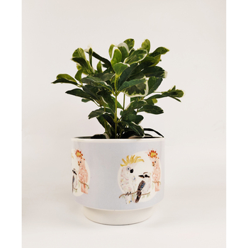 /assets/alt_2/UG102878.jpg?20231024141559