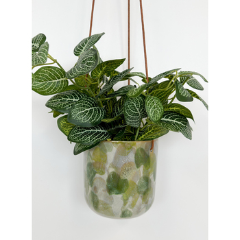 /assets/alt_2/UG110206.jpg?20240405092036