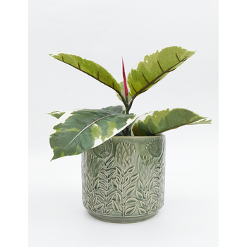 /assets/alt_2/UG152156_2PK.jpg?20240829115109