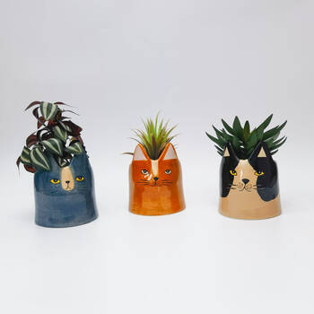 /assets/alt_2/UH195225.jpg?20250411093032