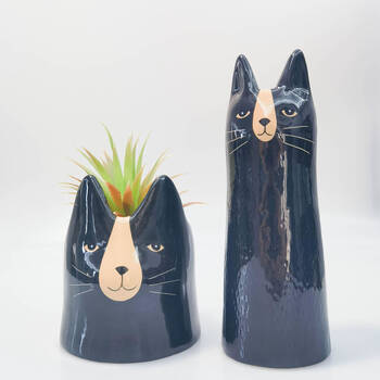 /assets/alt_2/UH195231_2PK.jpg?20250915090626