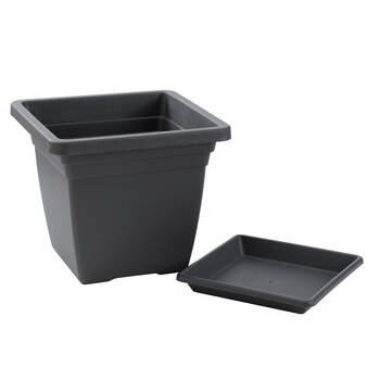 /assets/alt_2/UN-49638_8PK.jpg?20250814104602