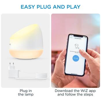 /assets/alt_2/WIZWCASQUIRE.jpg?20251229163228